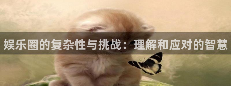 红足1世新：娱乐圈的复杂性与挑战：理解和应对的智慧