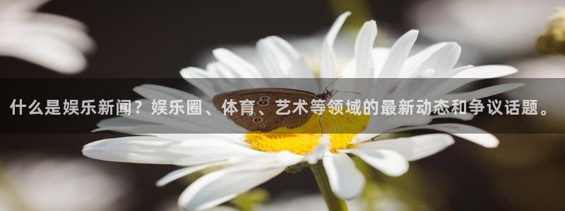 红足1世44814：什么是娱乐新闻？娱乐圈、体育、艺术等领域的最新动态和争议话题。