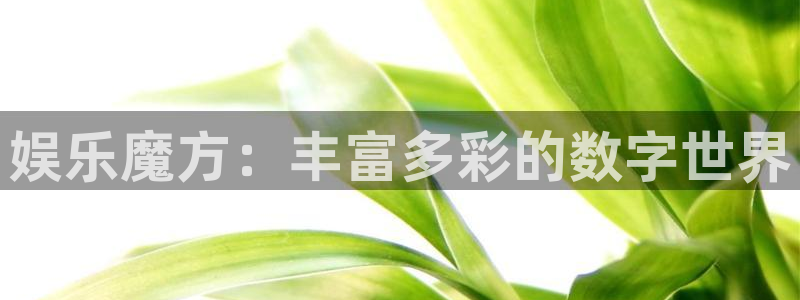 红足1世足球网址大全：娱乐魔方：丰富多彩的数字世界
