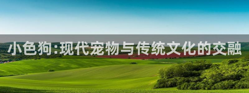 红足1世2站：小色狗:现代宠物与传统文化的交融
