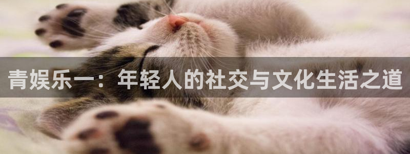 红足1世足球网址大全：青娱乐一：年轻人的社交与文化生活之道