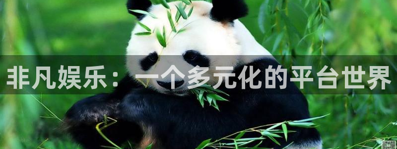 红足1世官网：非凡娱乐：一个多元化的平台世界