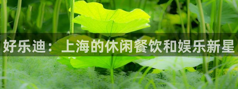 红足1世：好乐迪：上海的休闲餐饮和娱乐新星