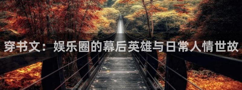 红足1世足球网：穿书文：娱乐圈的幕后英雄与日常人情世故