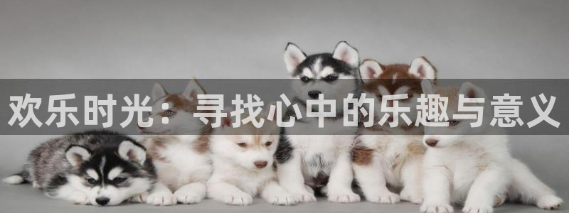 红足1世足球网页版入口：欢乐时光：寻找心中的乐趣与意义