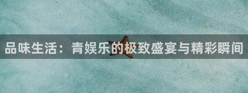 红足1世官网：品味生活：青娱乐的极致盛宴与精彩瞬间